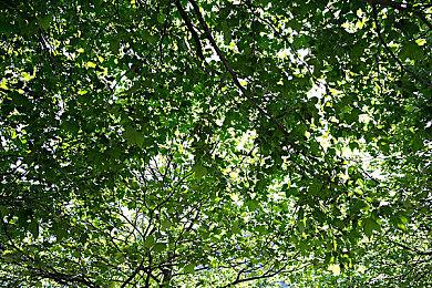 即时战略战争模拟游戏《装甲旅2》公布并上线Steam 预计2025年推出