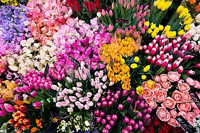 育碧开启“信仰之跃”大促 《刺客信条》迎史低跳楼价